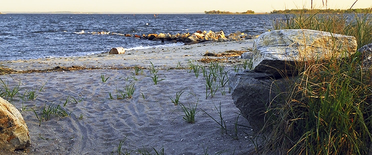 An Opening Leads to a Small Secluded Beach