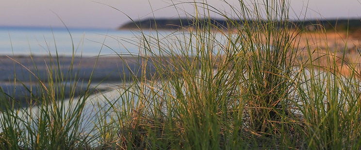 Warm Tone Coastal Beach Landscape