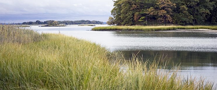 Long Island Sound