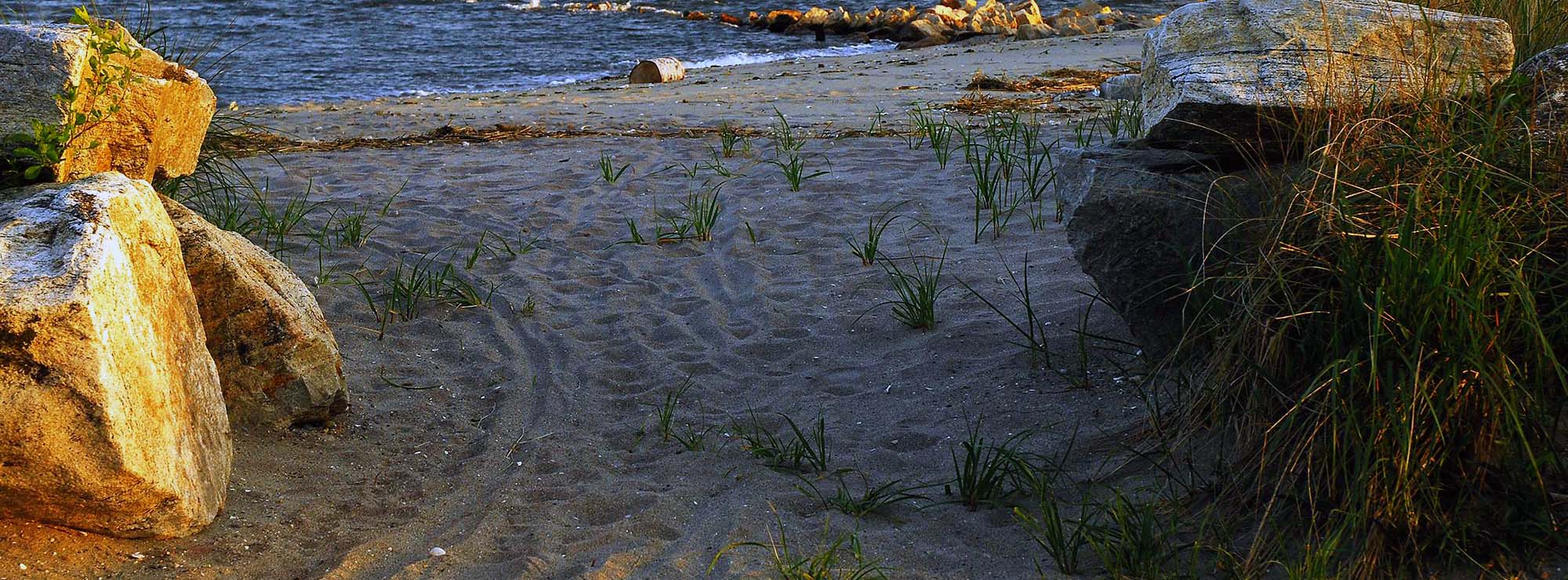 An Opening Leads to a Small Secluded Beach