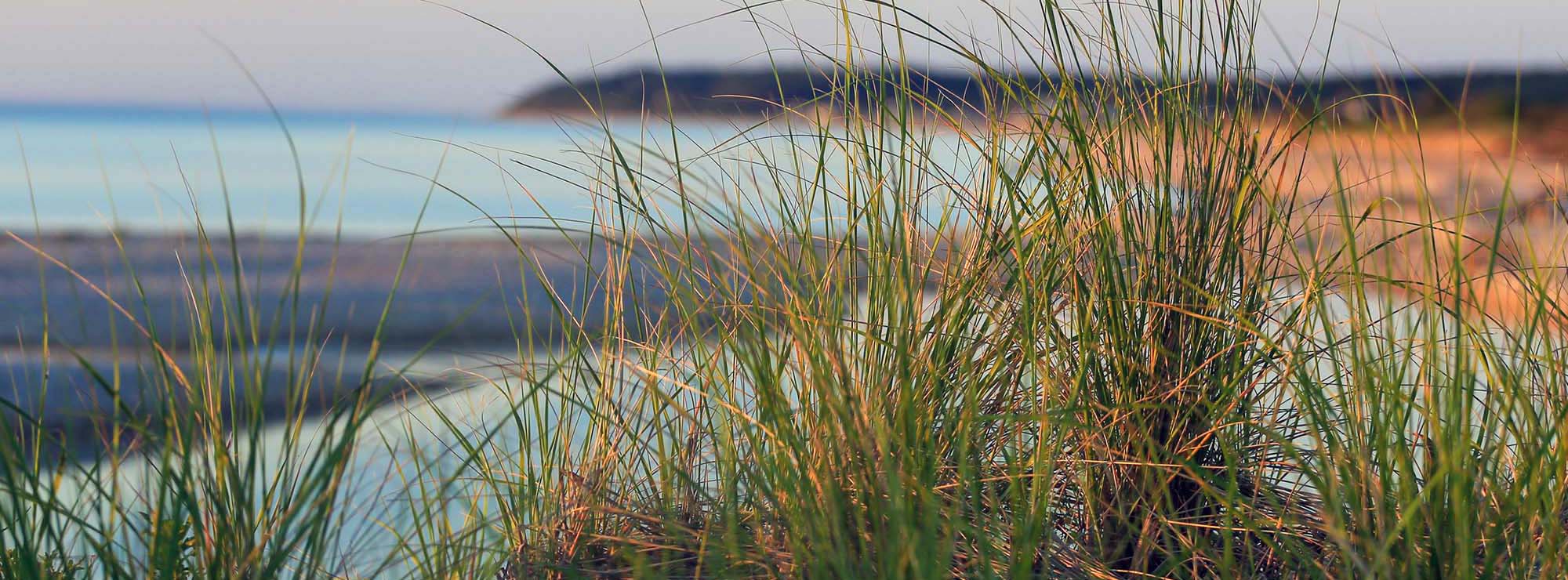 Warm Tone Coastal Beach Landscape